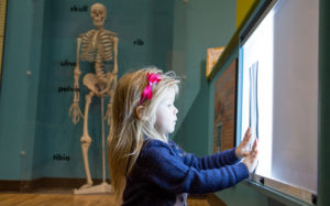 Kids Clinic – McKenna Children's Museum